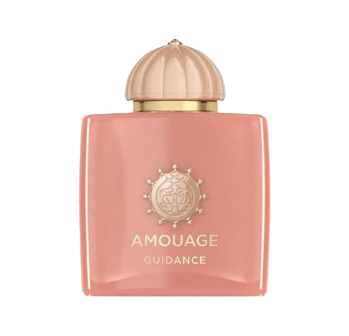 Amouage Guidance