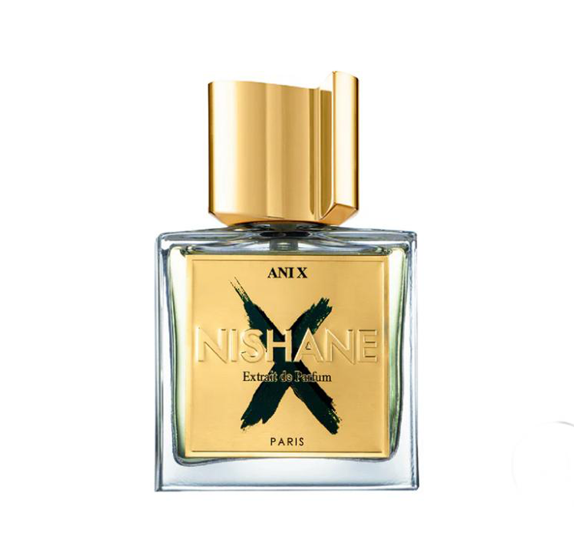 Nishane Ani X 100ml